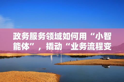 政务服务领域如何用“小智能体”，撬动“业务流程变革”？
