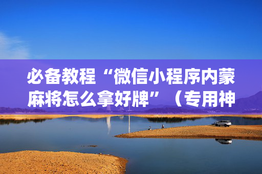 必备教程“微信小程序内蒙麻将怎么拿好牌”（专用神器)