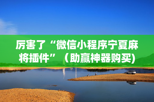 厉害了“微信小程序宁夏麻将插件”（助赢神器购买)