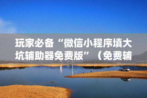玩家必备“微信小程序填大坑辅助器免费版”（免费辅助)