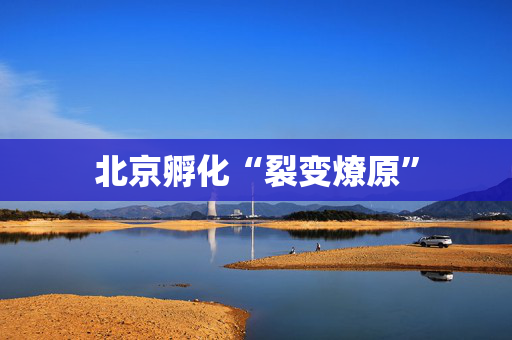 北京孵化“裂变燎原”
