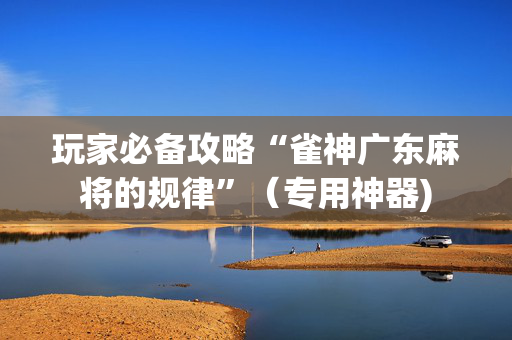 玩家必备攻略“雀神广东麻将的规律”（专用神器)
