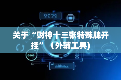 关于“财神十三张特殊牌开挂”（外辅工具)