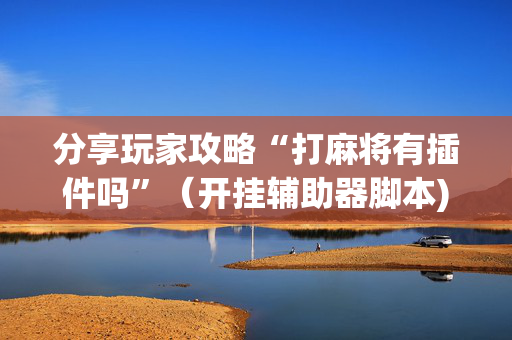 分享玩家攻略“打麻将有插件吗”（开挂辅助器脚本)