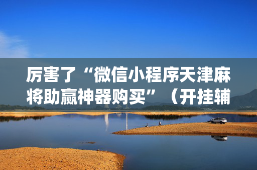 厉害了“微信小程序天津麻将助赢神器购买”（开挂辅助器插件)