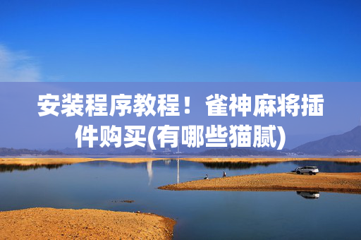 安装程序教程！雀神麻将插件购买(有哪些猫腻)