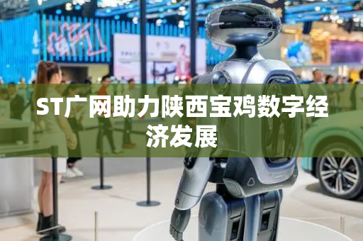 ST广网助力陕西宝鸡数字经济发展