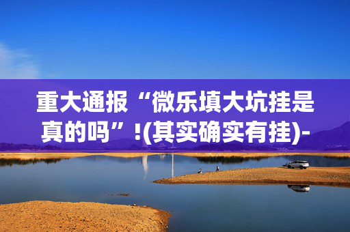 重大通报“微乐填大坑挂是真的吗”!(其实确实有挂)-抖音