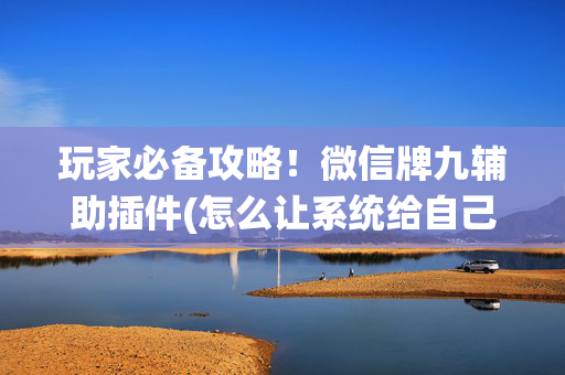 玩家必备攻略！微信牌九辅助插件(怎么让系统给自己好牌)