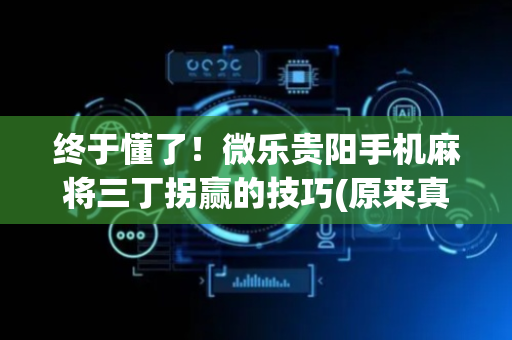 终于懂了！微乐贵阳手机麻将三丁拐赢的技巧(原来真的有挂)