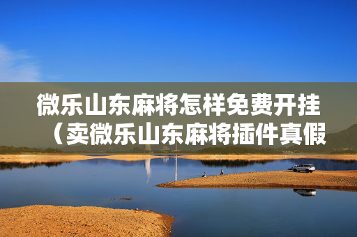 微乐山东麻将怎样免费开挂（卖微乐山东麻将插件真假）