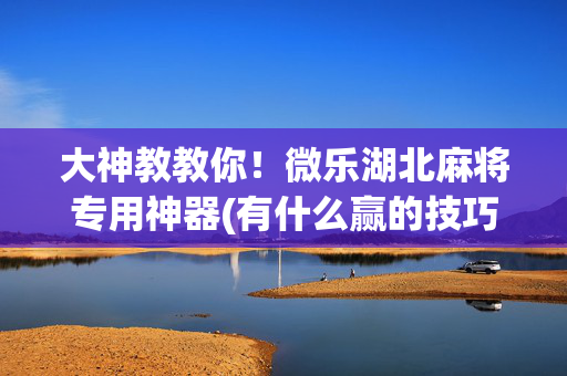 大神教教你！微乐湖北麻将专用神器(有什么赢的技巧)