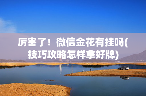 厉害了！微信金花有挂吗(技巧攻略怎样拿好牌)