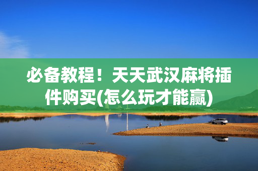 必备教程！天天武汉麻将插件购买(怎么玩才能赢)