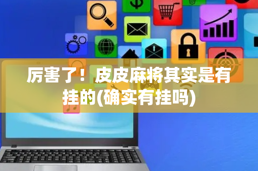 厉害了！皮皮麻将其实是有挂的(确实有挂吗)