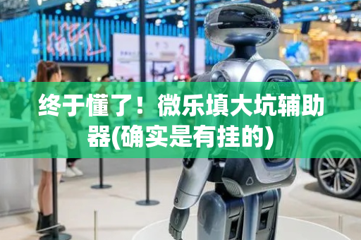 终于懂了！微乐填大坑辅助器(确实是有挂的)