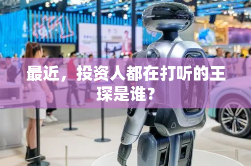 最近，投资人都在打听的王琛是谁？