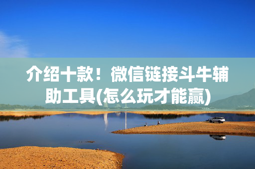 介绍十款！微信链接斗牛辅助工具(怎么玩才能赢)