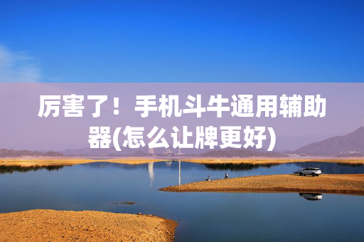 厉害了！手机斗牛通用辅助器(怎么让牌更好)