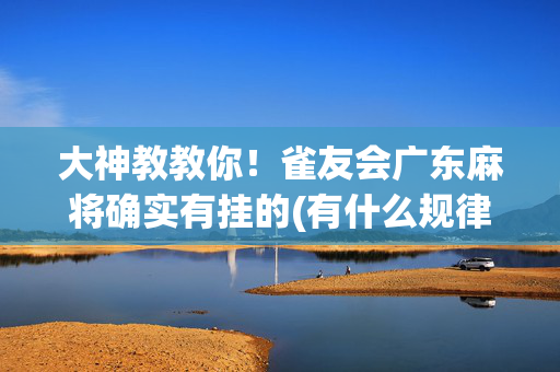 大神教教你！雀友会广东麻将确实有挂的(有什么规律)