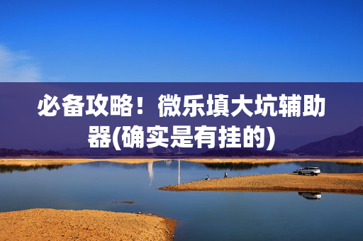 必备攻略！微乐填大坑辅助器(确实是有挂的)
