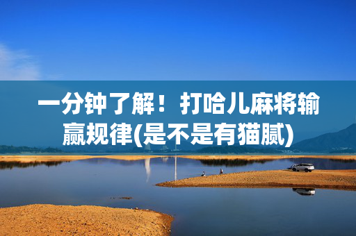 一分钟了解！打哈儿麻将输赢规律(是不是有猫腻)