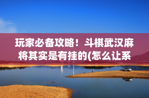 玩家必备攻略！斗棋武汉麻将其实是有挂的(怎么让系统发好牌)