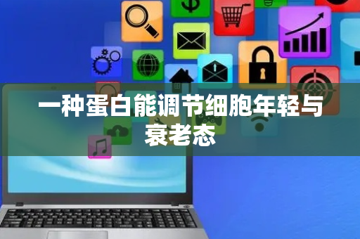 一种蛋白能调节细胞年轻与衰老态