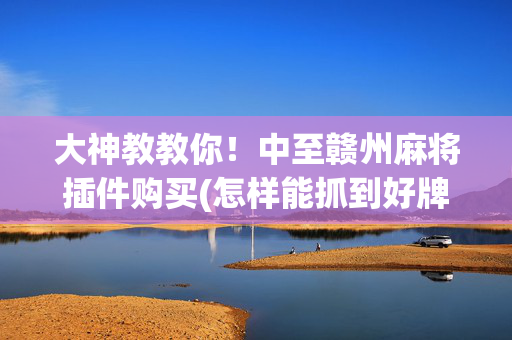 大神教教你！中至赣州麻将插件购买(怎样能抓到好牌)