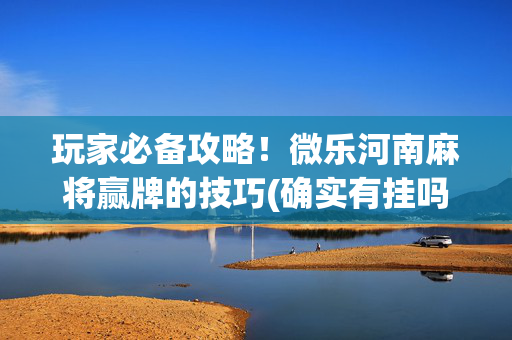 玩家必备攻略！微乐河南麻将赢牌的技巧(确实有挂吗)