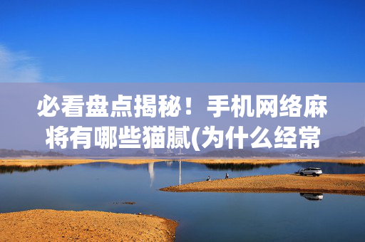 必看盘点揭秘！手机网络麻将有哪些猫腻(为什么经常输)