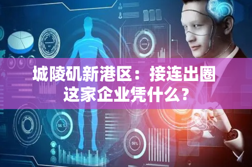 城陵矶新港区：接连出圈 这家企业凭什么？