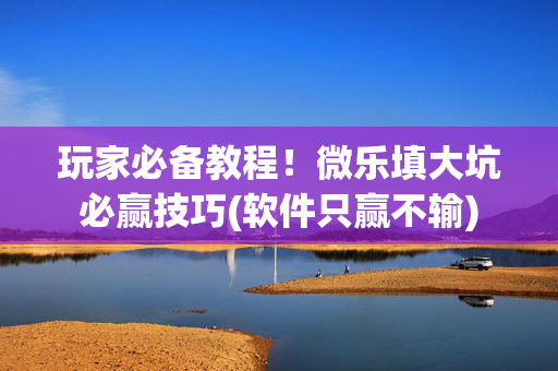 玩家必备教程！微乐填大坑必赢技巧(软件只赢不输)