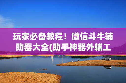 玩家必备教程！微信斗牛辅助器大全(助手神器外辅工具)