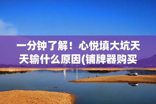 一分钟了解！心悦填大坑天天输什么原因(铺牌器购买)