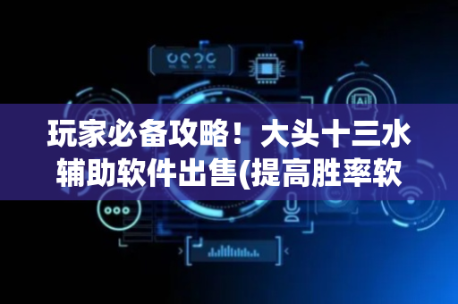 玩家必备攻略！大头十三水辅助软件出售(提高胜率软件)