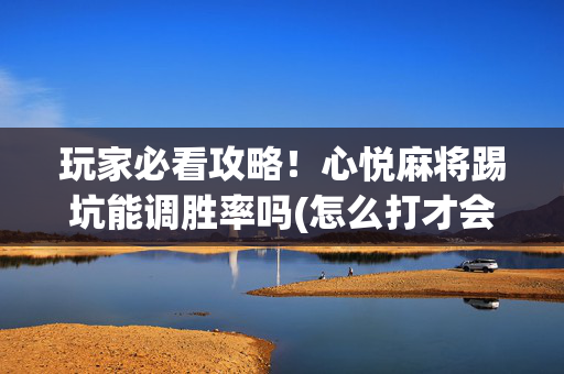 玩家必看攻略！心悦麻将踢坑能调胜率吗(怎么打才会赢)