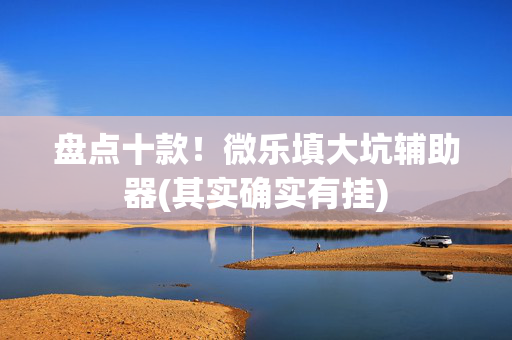 盘点十款！微乐填大坑辅助器(其实确实有挂)