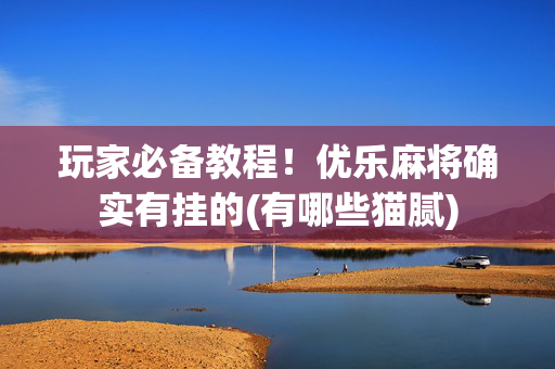 玩家必备教程！优乐麻将确实有挂的(有哪些猫腻)