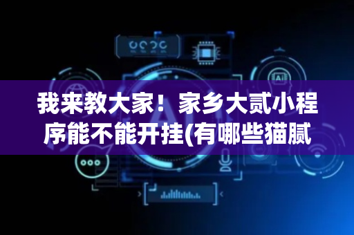 我来教大家！家乡大贰小程序能不能开挂(有哪些猫腻)