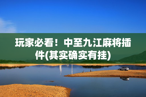 玩家必看！中至九江麻将插件(其实确实有挂)
