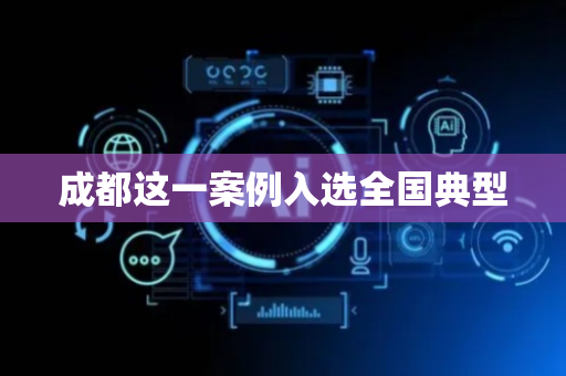 成都这一案例入选全国典型