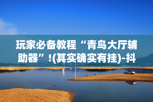 玩家必备教程“青鸟大厅辅助器”!(其实确实有挂)-抖音