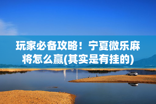 玩家必备攻略！宁夏微乐麻将怎么赢(其实是有挂的)
