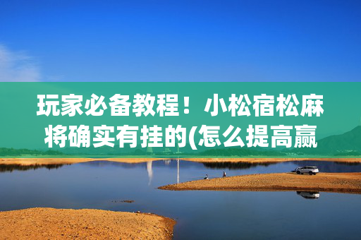 玩家必备教程！小松宿松麻将确实有挂的(怎么提高赢牌率)