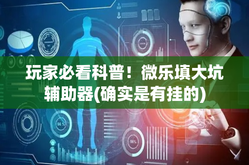 玩家必看科普！微乐填大坑辅助器(确实是有挂的)