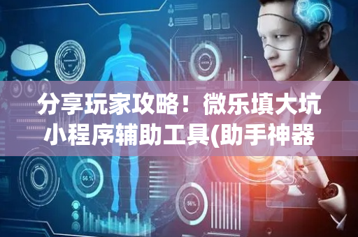 分享玩家攻略！微乐填大坑小程序辅助工具(助手神器外辅工具)