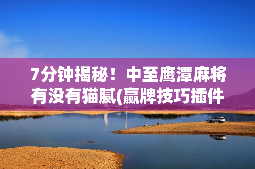 7分钟揭秘！中至鹰潭麻将有没有猫腻(赢牌技巧插件安装)