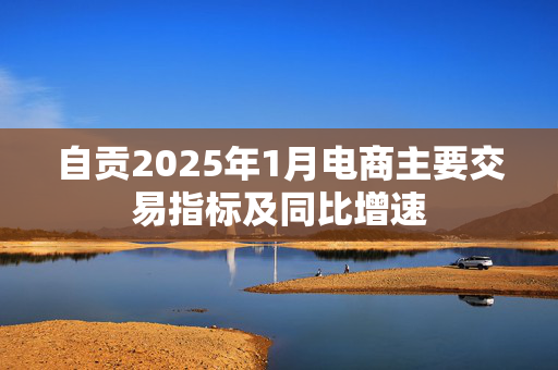 自贡2025年1月电商主要交易指标及同比增速