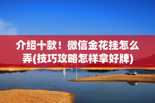 介绍十款！微信金花挂怎么弄(技巧攻略怎样拿好牌)